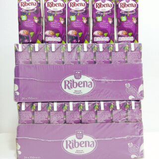 Ribena Black currant (24*250ml)