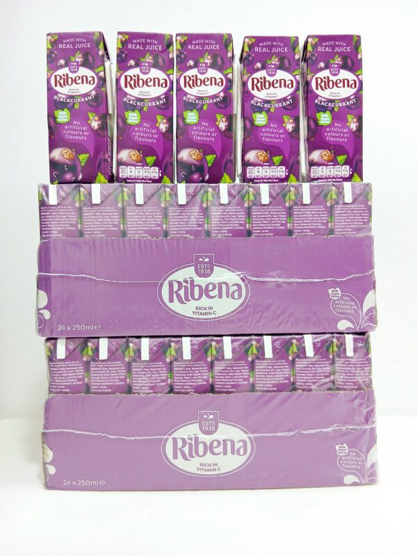 Ribena Black currant (24*250ml)
