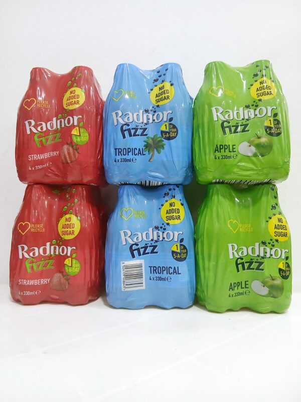Radnor Fizz No Added Sugar. (4 in 1) - Image 3