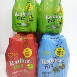 Radnor Fizz No Added Sugar. (4 in 1)