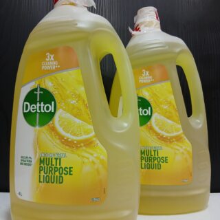 Dettol Antibacterial Multipurpose Liquid