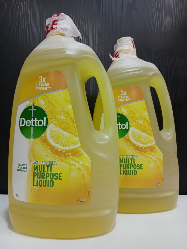 Dettol Antibacterial Multipurpose Liquid