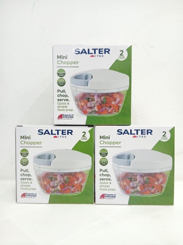 Salter Mini Chopper